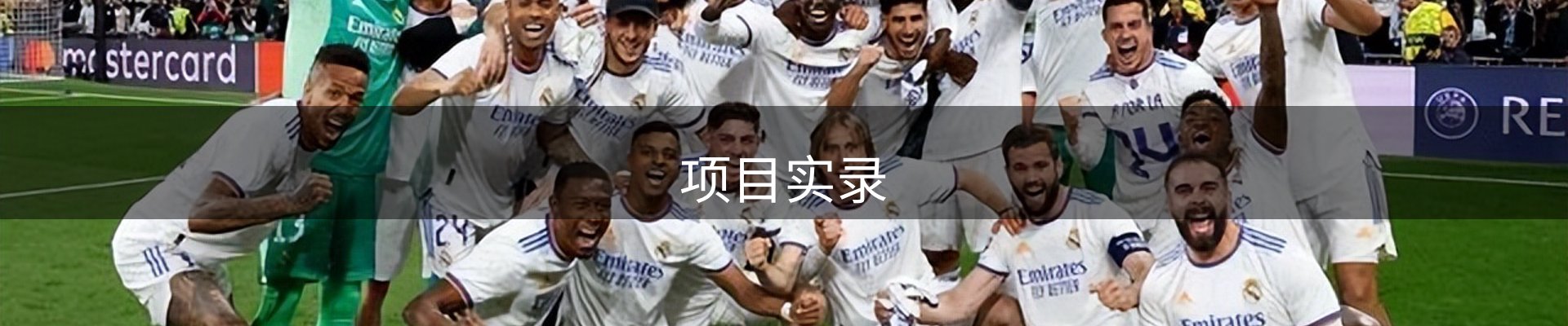 项目实录